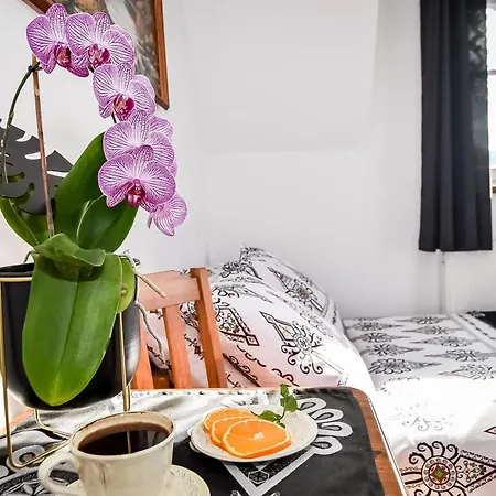 Bed & Breakfast U Ireny Zab